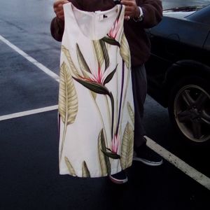 NWT Ann Taylor dress size 6